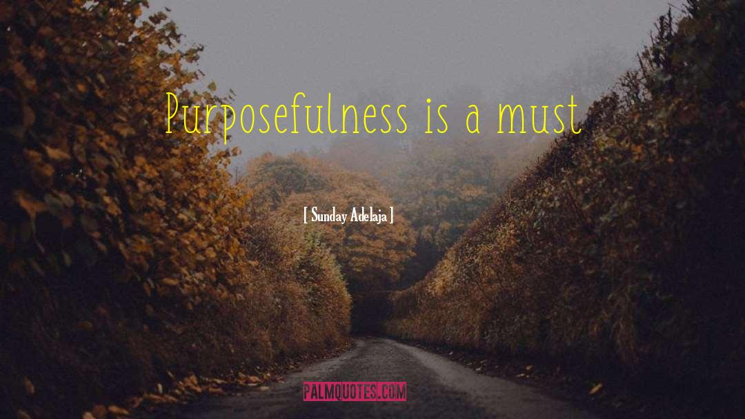 Purposefulness quotes by Sunday Adelaja