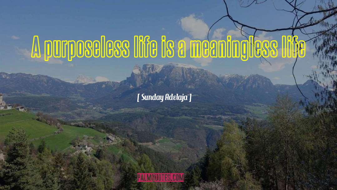 Purposeless Life quotes by Sunday Adelaja