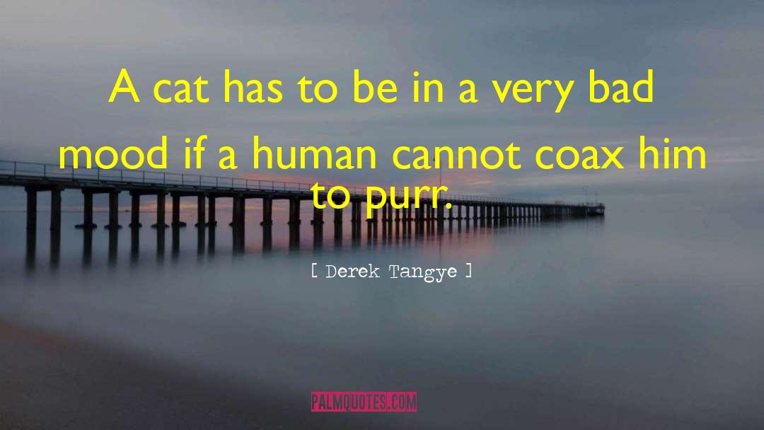 Purr quotes by Derek Tangye