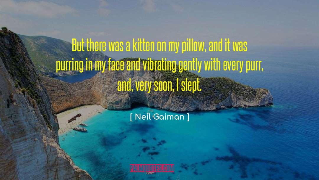 Purr quotes by Neil Gaiman