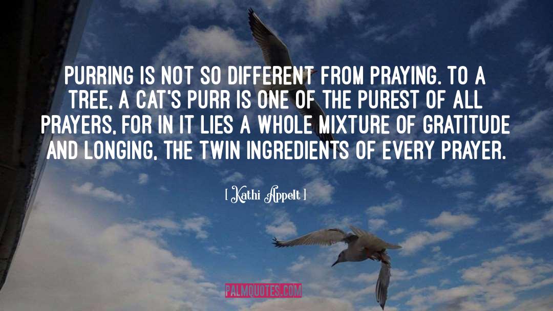 Purr quotes by Kathi Appelt