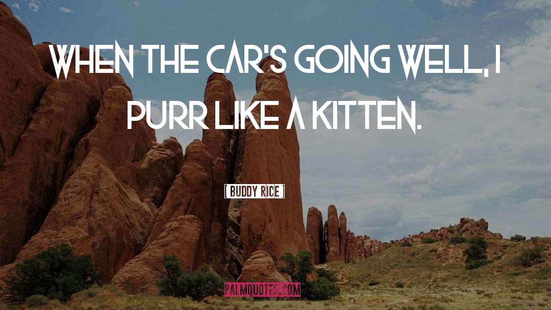 Purr quotes by Buddy Rice