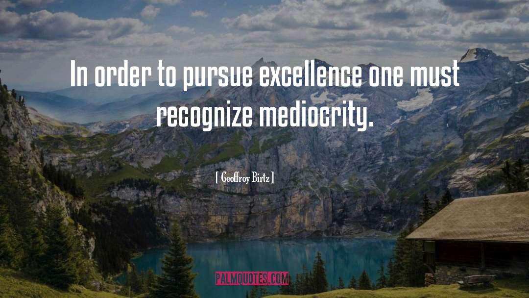 Pursue Excellence quotes by Geoffroy Birtz