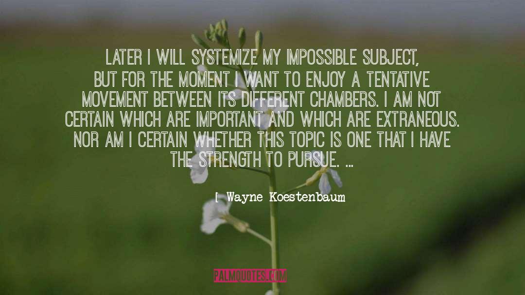 Pursue Excellence quotes by Wayne Koestenbaum