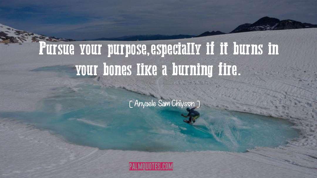 Pursue Passion quotes by Anyaele Sam Chiyson