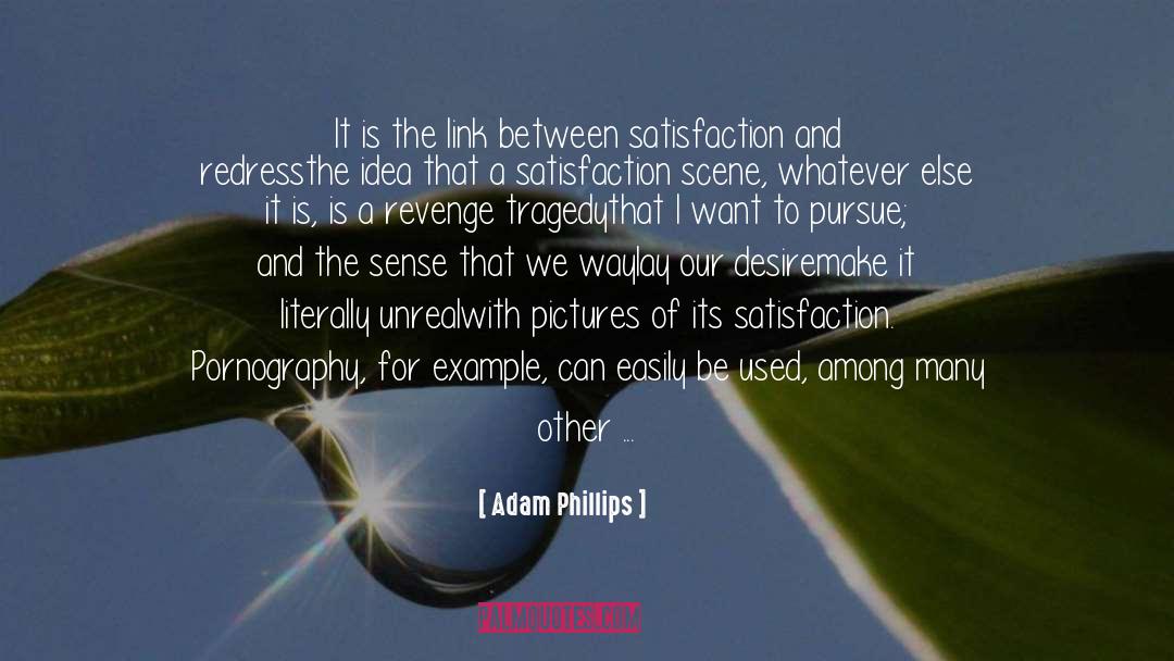 Pursue Passion quotes by Adam Phillips