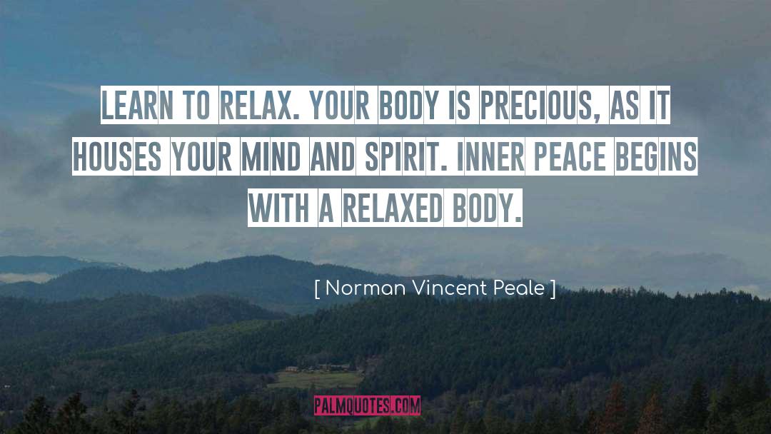 Pursue Peace quotes by Norman Vincent Peale