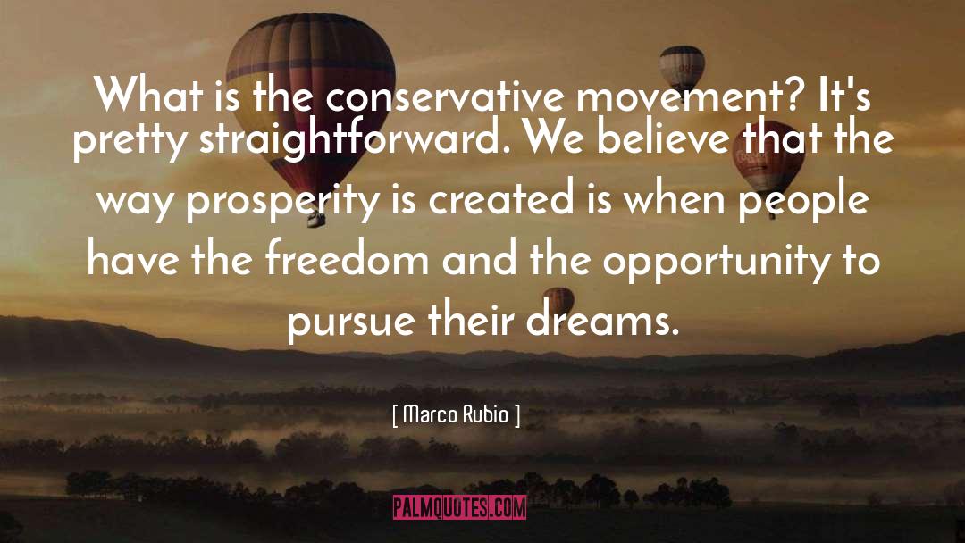 Pursue quotes by Marco Rubio