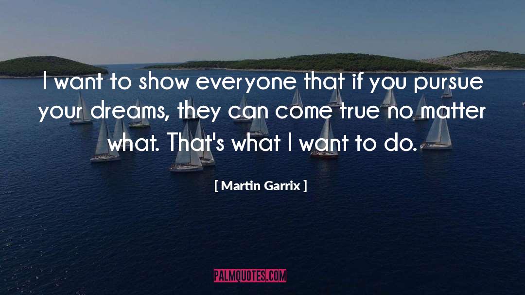 Pursue Your Dreams quotes by Martin Garrix