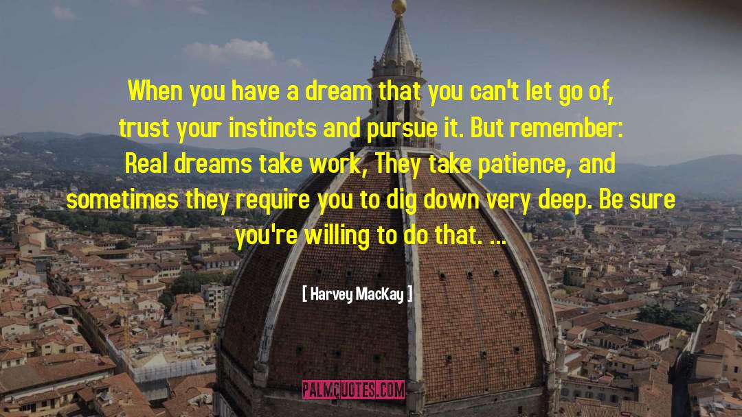 Pursue Your Dreams quotes by Harvey MacKay