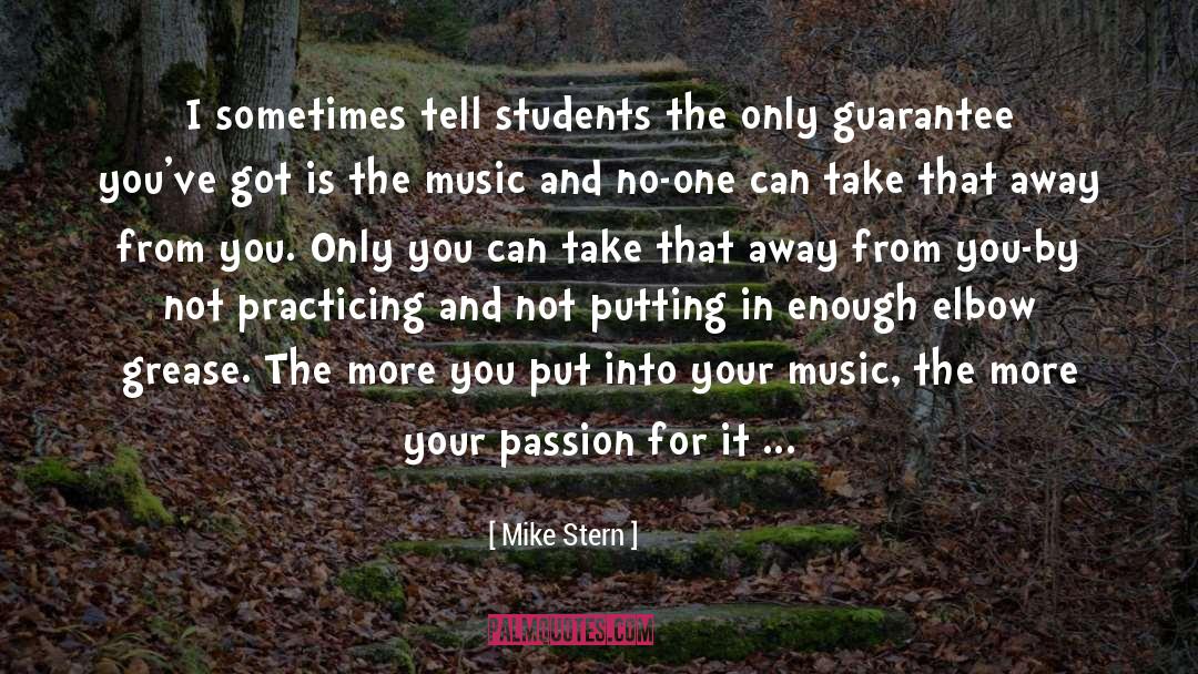 Pursue Your Passion quotes by Mike Stern