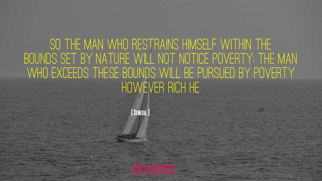 Pursued quotes by Seneca.