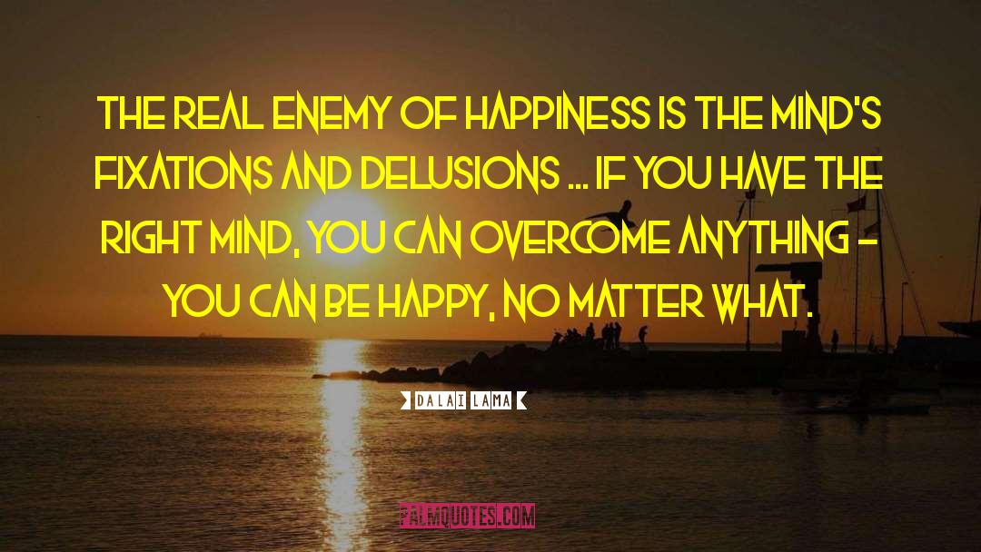 Pursuing Happiness quotes by Dalai Lama