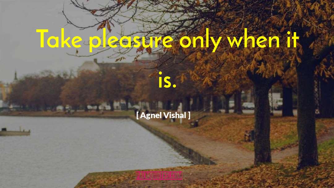 Pursuing Happiness quotes by Agnel Vishal