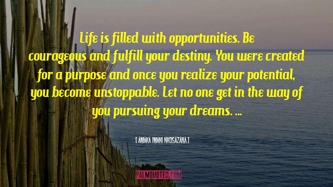 Pursuing Your Dreams quotes by Amaka Imani Nkosazana