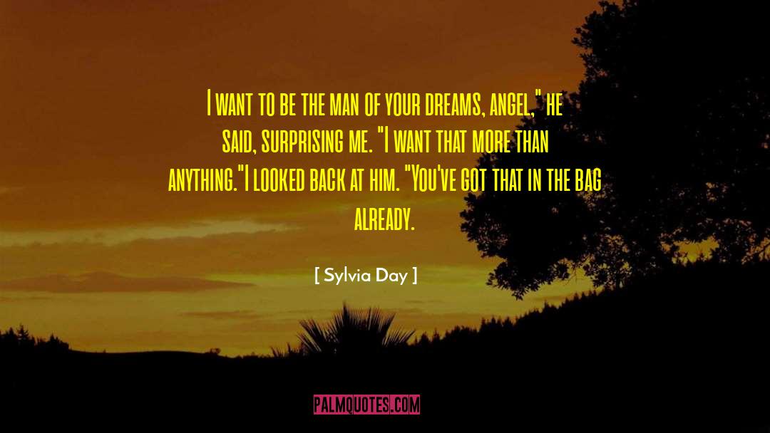 Pursuing Your Dreams quotes by Sylvia Day