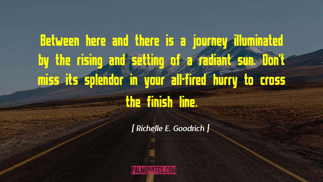Pursuing Your Goals quotes by Richelle E. Goodrich