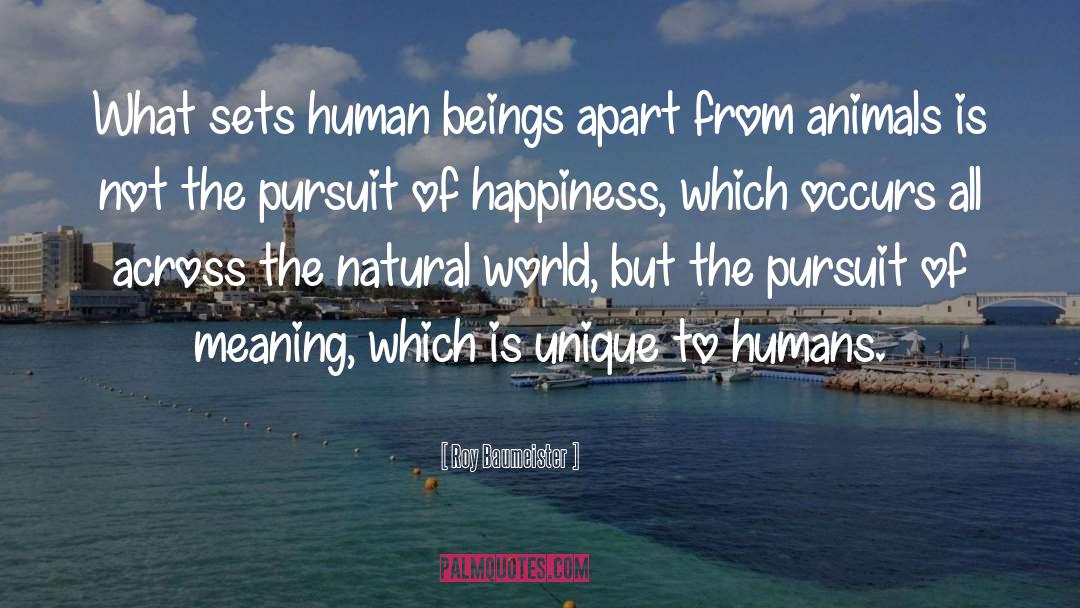 Pursuit Of Happiness quotes by Roy Baumeister