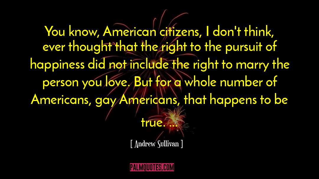 Pursuit Of Happiness quotes by Andrew Sullivan