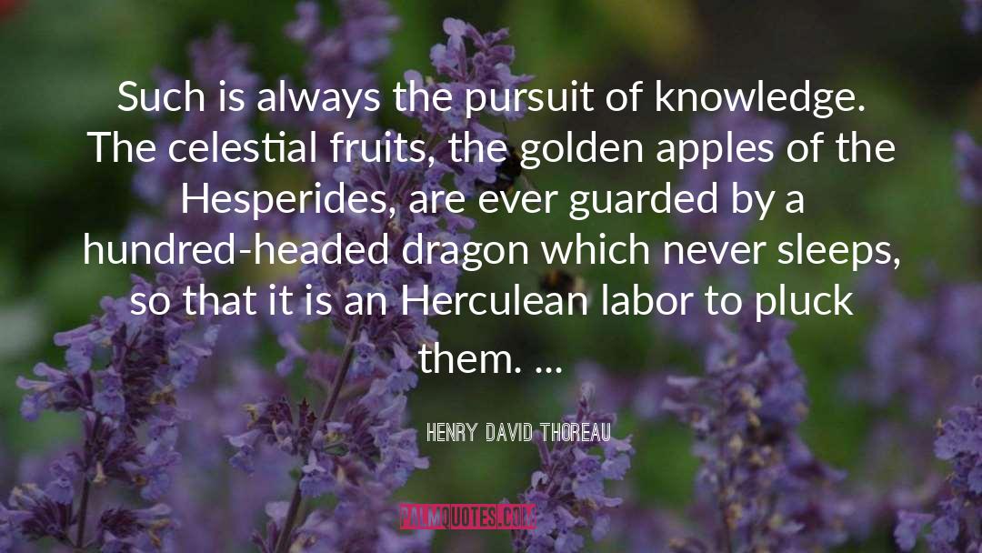 Pursuit Of Knowledge quotes by Henry David Thoreau