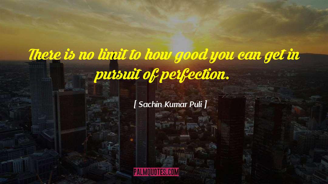 Pursuit Of Perfection quotes by Sachin Kumar Puli