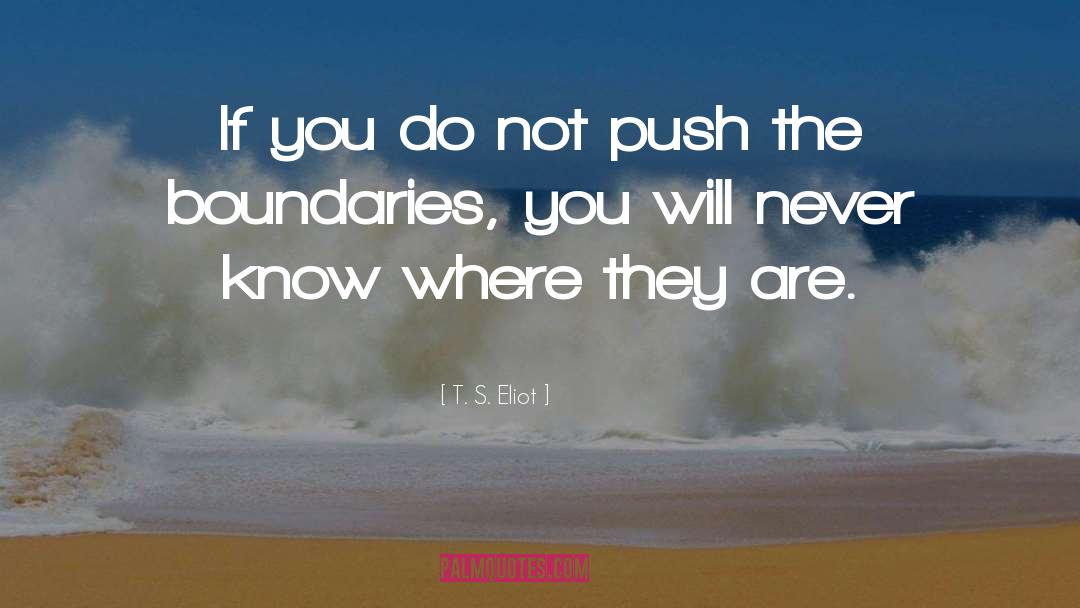 Push On quotes by T. S. Eliot