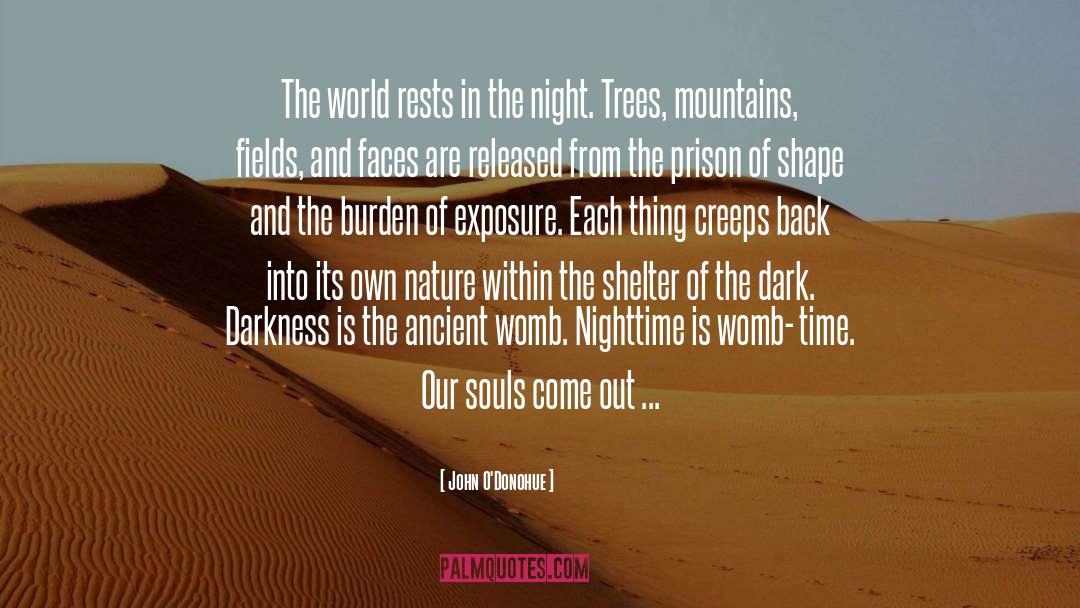 Pushing Back The Darkness quotes by John O'Donohue