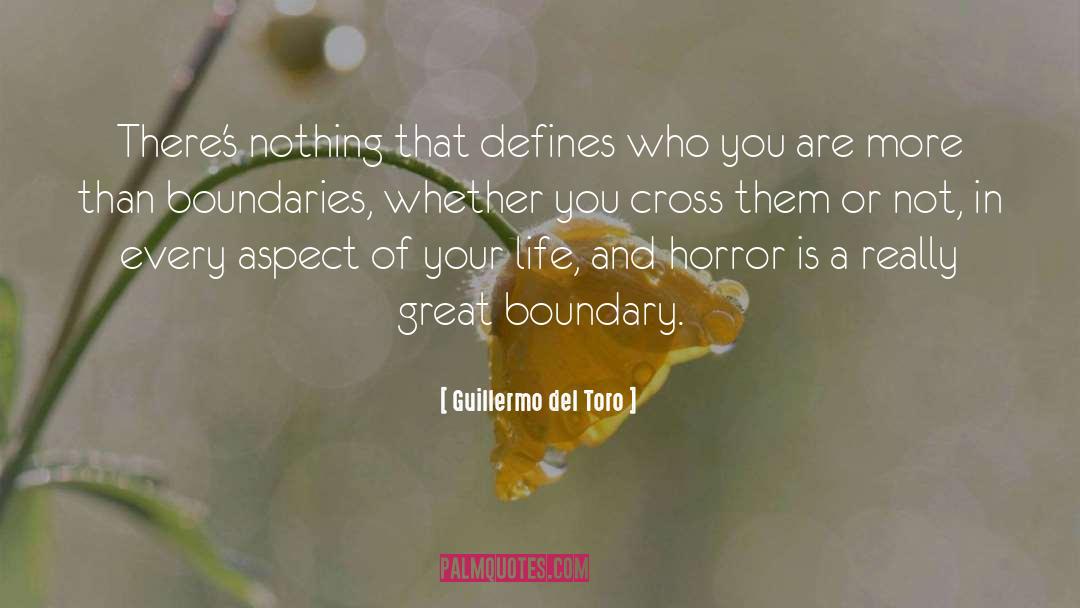 Pushing Boundaries quotes by Guillermo Del Toro