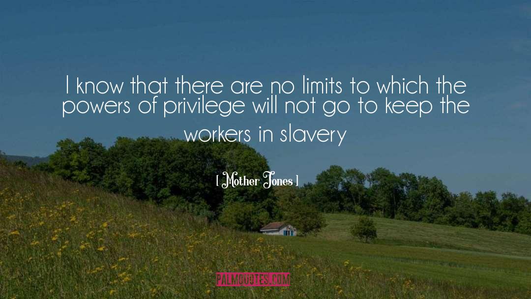 Pushing The Limits quotes by Mother Jones