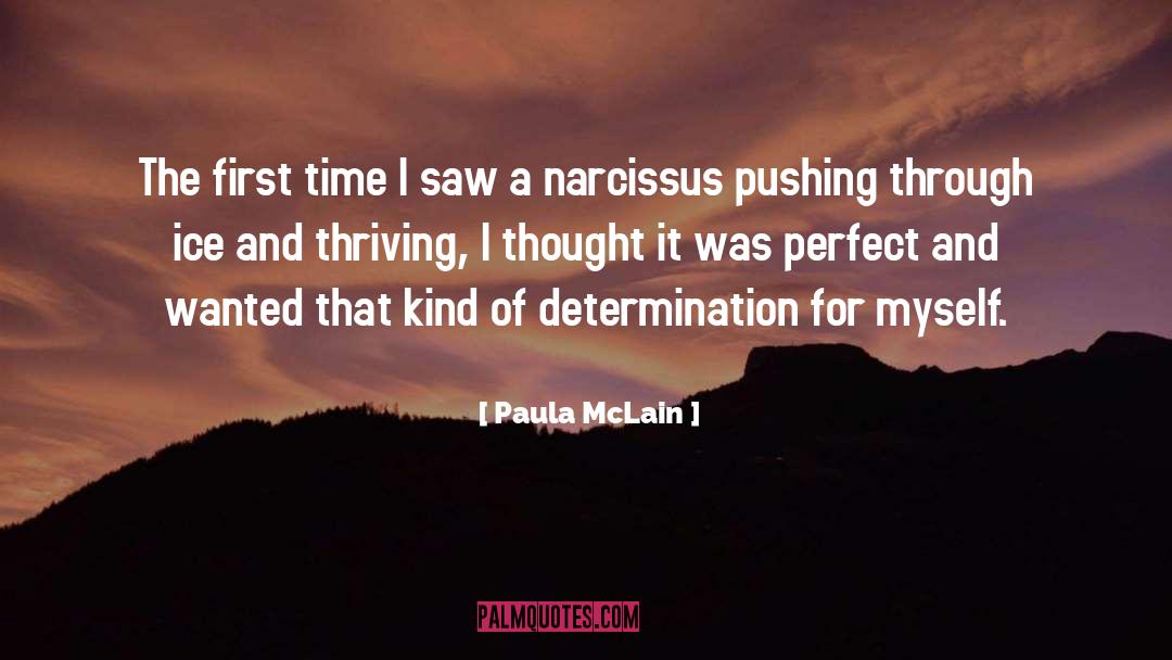 Pushing Through quotes by Paula McLain