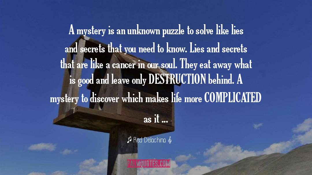 Puzzle quotes by Red Delachina