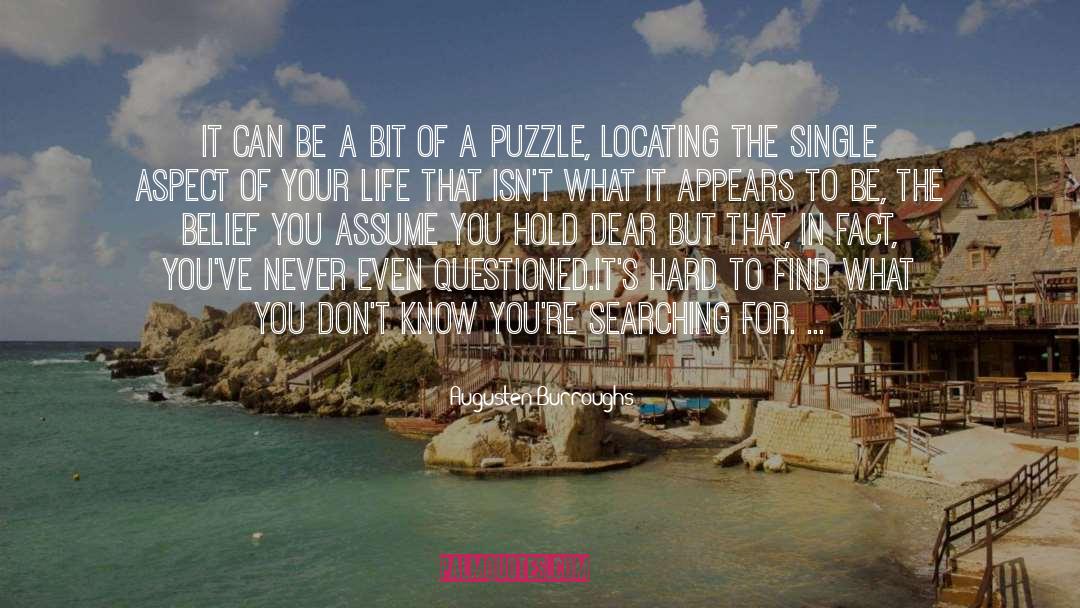 Puzzle quotes by Augusten Burroughs