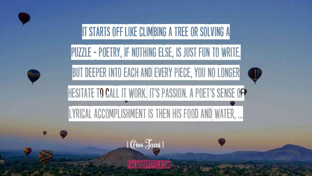 Puzzle quotes by Criss Jami