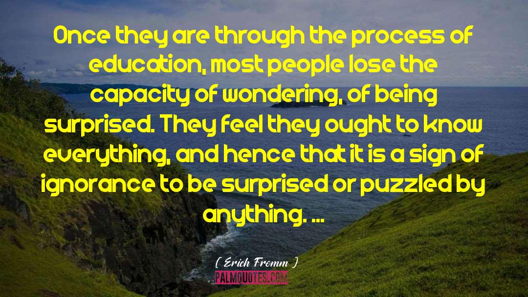 Puzzled quotes by Erich Fromm
