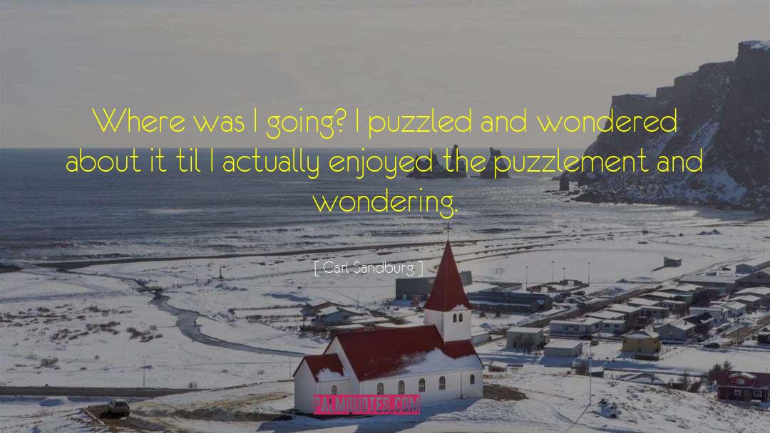 Puzzlement quotes by Carl Sandburg