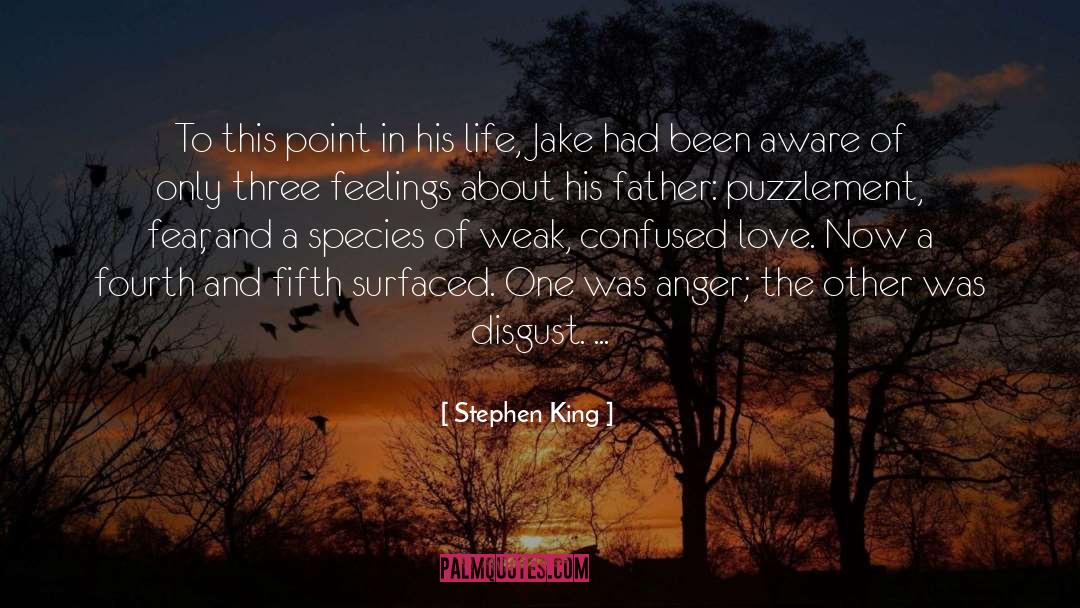 Puzzlement quotes by Stephen King
