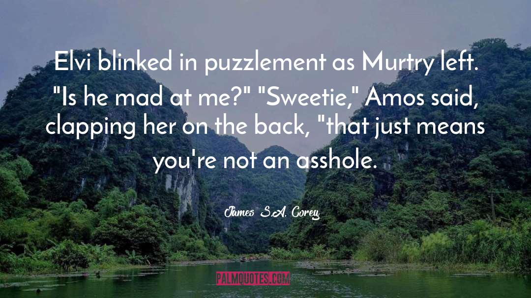 Puzzlement quotes by James S.A. Corey