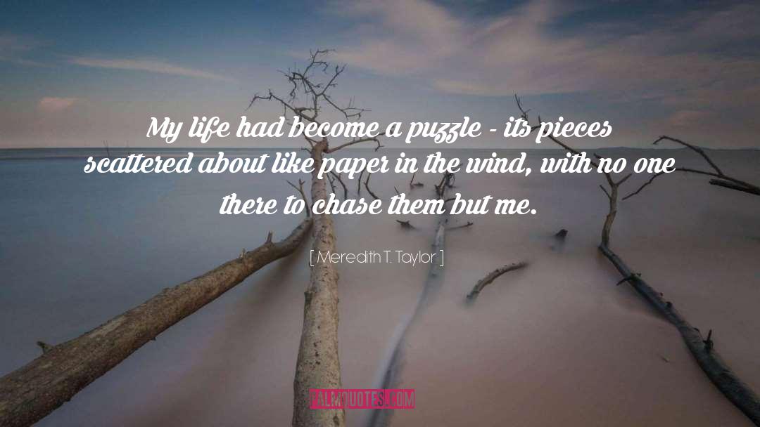 Puzzles Of Life quotes by Meredith T. Taylor