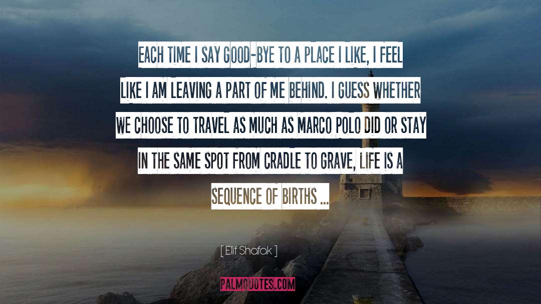 Puzzles Of Life quotes by Elif Shafak