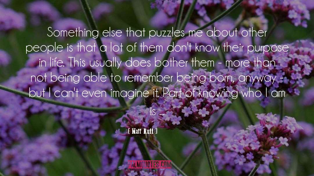 Puzzles quotes by Matt Ruff