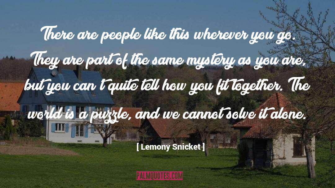 Puzzles quotes by Lemony Snicket