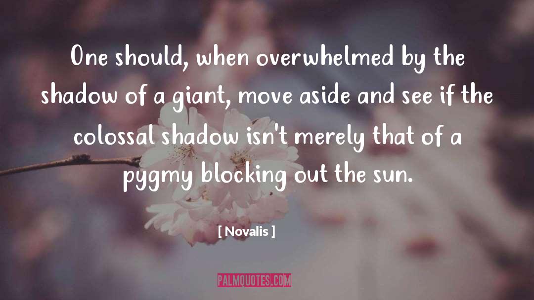 Pygmy quotes by Novalis