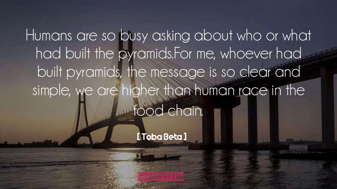 Pyramid Builder quotes by Toba Beta