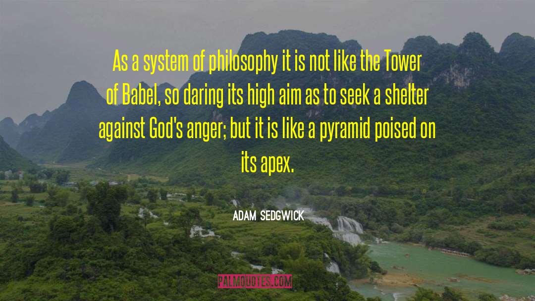 Pyramid Builder quotes by Adam Sedgwick