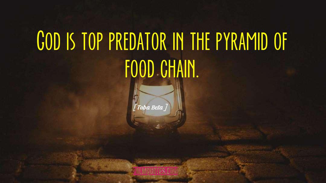 Pyramid Of Food Chain quotes by Toba Beta
