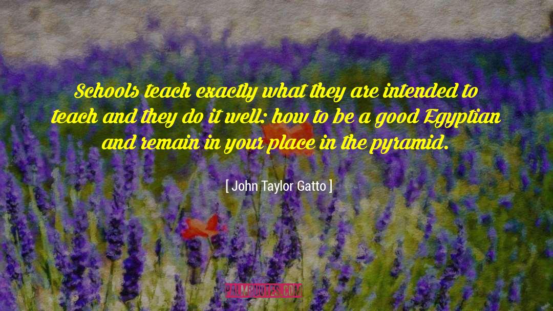 Pyramid Schemes quotes by John Taylor Gatto