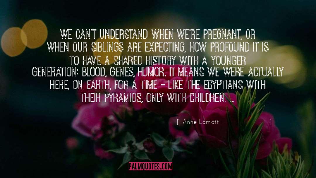 Pyramids quotes by Anne Lamott