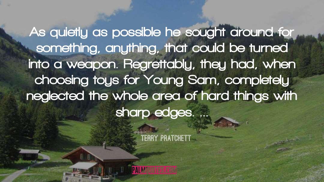 Qiang Weapon quotes by Terry Pratchett
