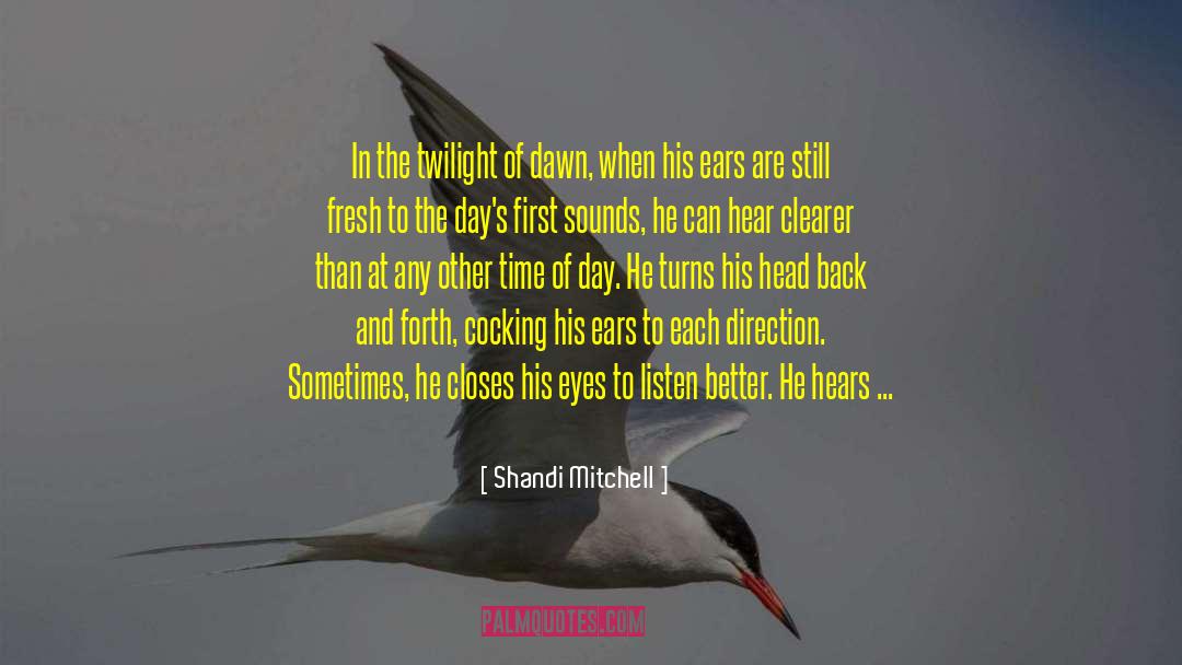 Qinling Shandi quotes by Shandi Mitchell