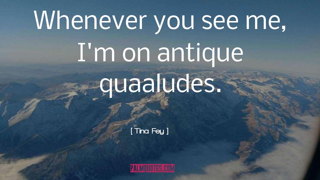 Quaaludes quotes by Tina Fey